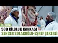 500 kiloluk karkas etler sencer solakolu ve eref ekerli  zle feyz al   ariv