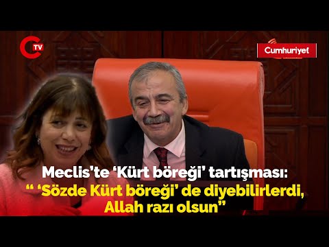 Meclis'te 'Kürt böreği' tartışması: Sırrı Süreyya Önder ve Meral Danış Beştaş'tan güldüren diyalog