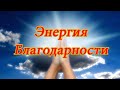 ЭНЕРГИЯ БЛАГОДАРНОСТИ🙏 THE ENERGY OF GRATITUDE🙏