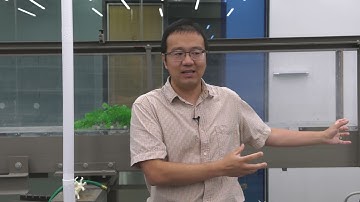 Using AI to predict flooding | Prof. Chaopeng Shen and Yalan Song
