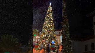 It’s Beginning To Look Like Christmas at Disney Springs! #christmas