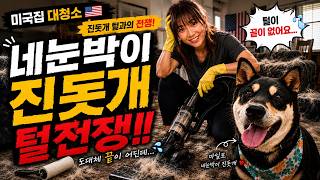 🇺🇸 네눈박이 진돗개 털전쟁 | 미국집 대청소 | 진돗개 마일로 입양 | 블랙