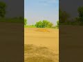 Haryana roadways #haryana #sirsa #hindi #shortsfeed #shorts