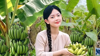 Harvesting Homegrown Bananas & How to Make Delicious Banana Cake