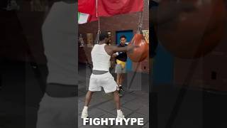 TERENCE CRAWFORD TEACHES SHAKUR STEVENSON HOW TO BEAT DEVIN HANEY