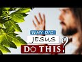 Why did JESUS CURSE the FIG TREE??