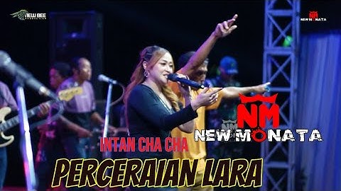 PERCERAIAN LARA ( COVER )