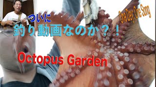 Octopus's Garden (Beatles)１日１曲 すぎたじゅんじ　ウクレレ弾き語り Ukulele Cover Junji Sugita, ONE DAY, ONE SONG