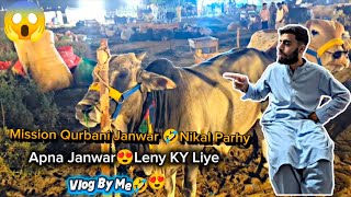 Mission Qurbani Janwar 🤣|Apna Janwar Leny 🥰Mandi Chly Gy|🥰Kia Milgya Janwar Humy|Vlog By Uzair