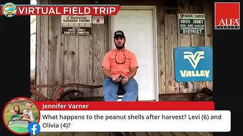 Virtual Field Trip - Peanuts - What happens to peanut shells, or hulls, after harvest?