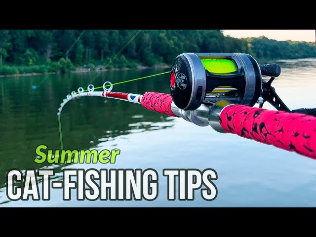 Don't Make This Mistake While Catfishing This Summer! (Summer Fishing Tips)  