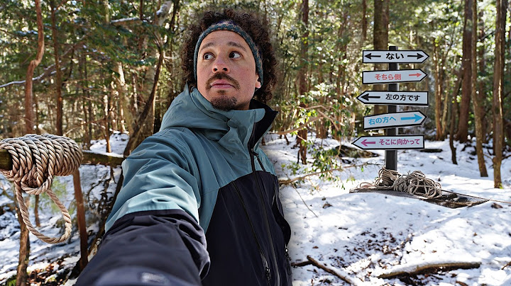 Regresé al bosque “más perturbador” del mundo | AOKIGAHARA