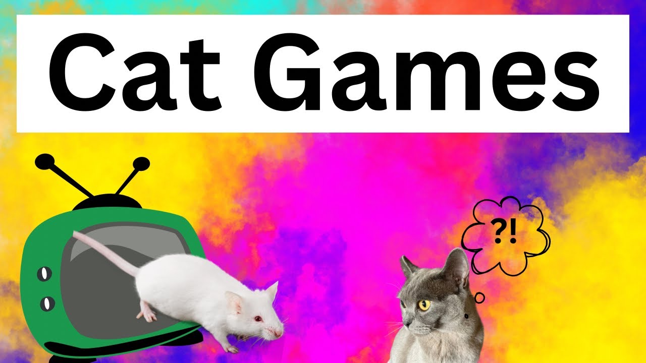 Cat Chases Mouse 🐱🐁 Cat Games Video for Cats Cat TV (2023) YouTube