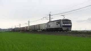 EF210-161号機 1093レ 6/24 2016