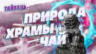видео: Тайвань. Города или природа? Дегустация очень необычных улунов. картинка: Тайвань. Города или природа? Дегустация очень необычных улунов.