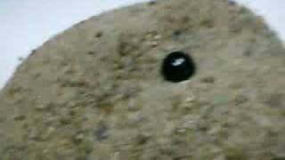 Crater on Moon (Indianspacestation.com) Part-4