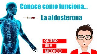 La hormona aldosterona funcion de