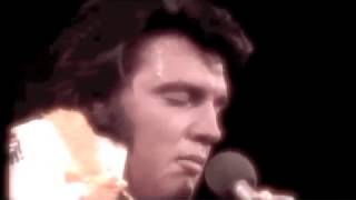 My Way - Elvis Presley - Cover Leonardo Dangelo
