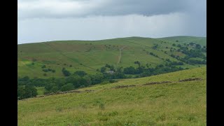 Our new nature reserve