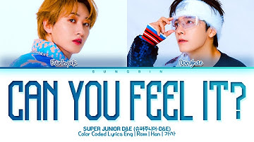 SUPER JUNIOR-D&E Can You Feel It? Lyrics (슈퍼주니어-D&E 촉이 와 가사) (Color Coded Lyrics)
