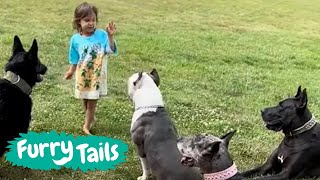 Little girl has her own personal protection dogs