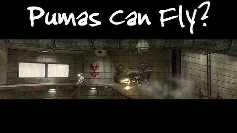 Making a Machinima out of a random Halo 3 BTB match