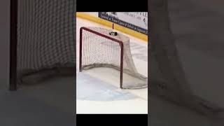 Amazing Last Second Hockey Save