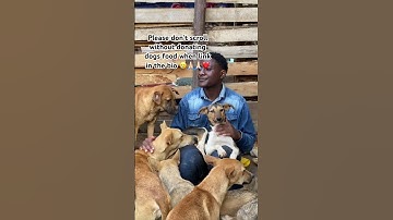 Please don’t go donate today dogs food