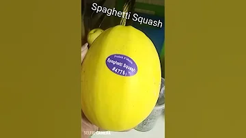 Spaghetti Squash