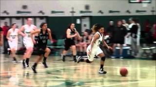 WBA Prestige Blue Gabby Green #24 Class of 2015 Midwest Spring shootout highlights