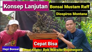 Konsep Lanjutan Bonsai Mustam Raffdiospiros Montana