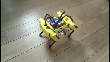 Notspot quadruped robot - Stand Controller