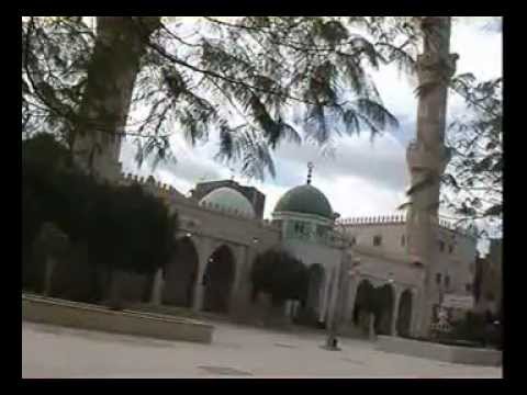 مسجد الفرغل أبوتيج أسيوط