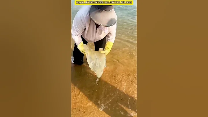 Rescuing a Cute Blue Jellyfish! #shorts