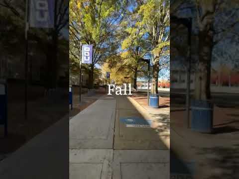 Fall ODU