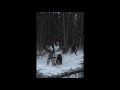 Syberian Beast meets Mr. Moore - Wien (Original Mix)