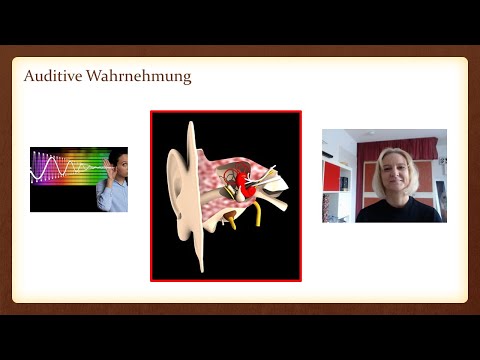 Video: Was ist auditive Wahrnehmung in der Psychologie?