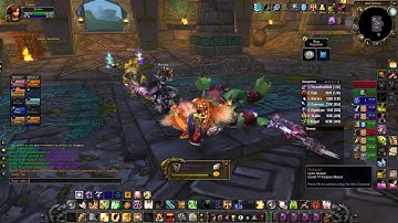 WoW TBC!! Prot Pally Zul