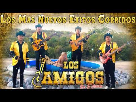 Los Amigos De La Sierra ???? PUROS CORRIDOS LOS MEJORES EXITOS MIX 2021