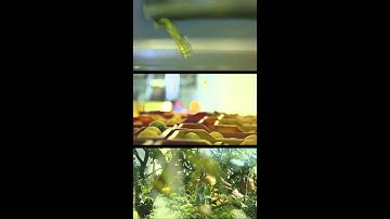 1080x1920 1verticale tre)