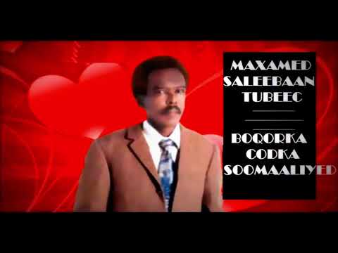 Maxamed Saleebaan Tubeec