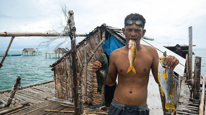 Los BAJAU: el pueblo que evolucionó para vivir BAJO EL AGUA