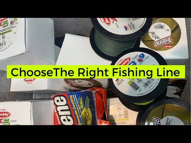 Fishing Line Selection 