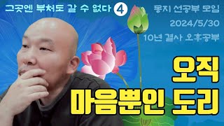 2024년 5월 30일 10년 결사 오후공부 : 그곳엔 부처도 갈 수 없다-4