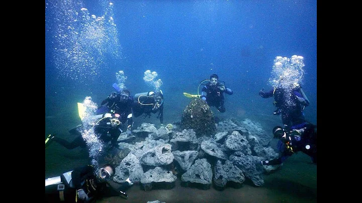 About us - North Bali Reef Conservation