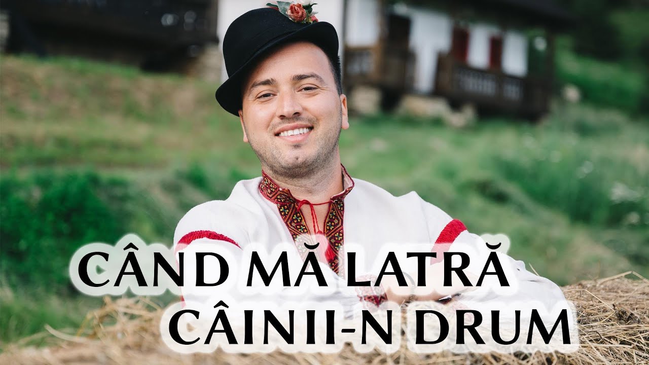Alexandru Bradatan - Cand ma latra cainii-n drum
