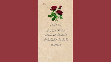 القرآن الكريم _سورة البقرة _أجر لي ولكم أكتب شيء تؤجر عليه #🦋🤍🌿🌹