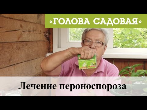 Голова садовая - Лечение пероноспороза