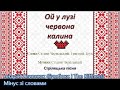 &quot; Ой у лізу червона калина&quot; (Андрій Хливнюк - зі словам)