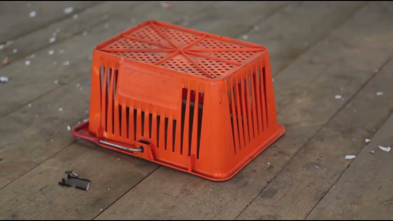 Honey for Petzi  |  "Handmade Cloaks" (Official Video)